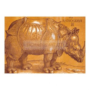 DUR062 Rhinoceros