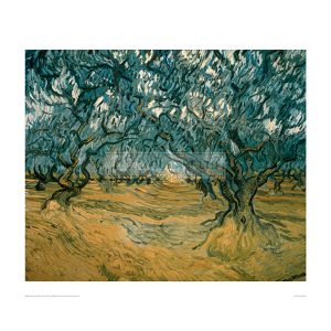 VAN083 Olive Trees