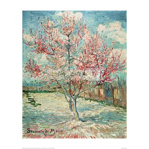 VAN088 Peach Tree in Blossom – In Memory of Mauve